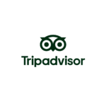 Camel Taxi Logos (1)